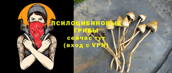 мескалин Абаза