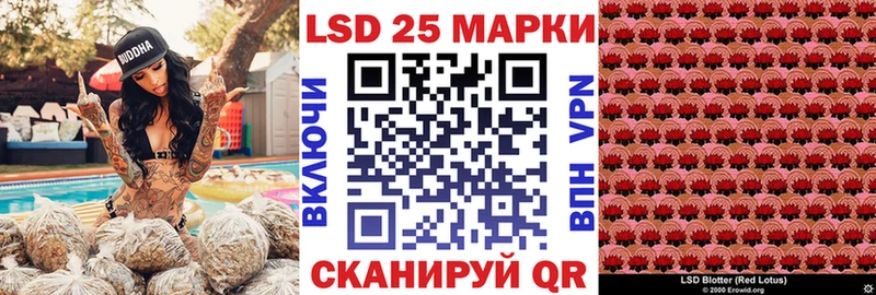 Марки NBOMe 1,5мг  сколько стоит  darknet формула  Арамиль  блэк спрут зеркало 
